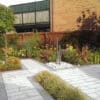 Silver Grey Granite Linear Paving