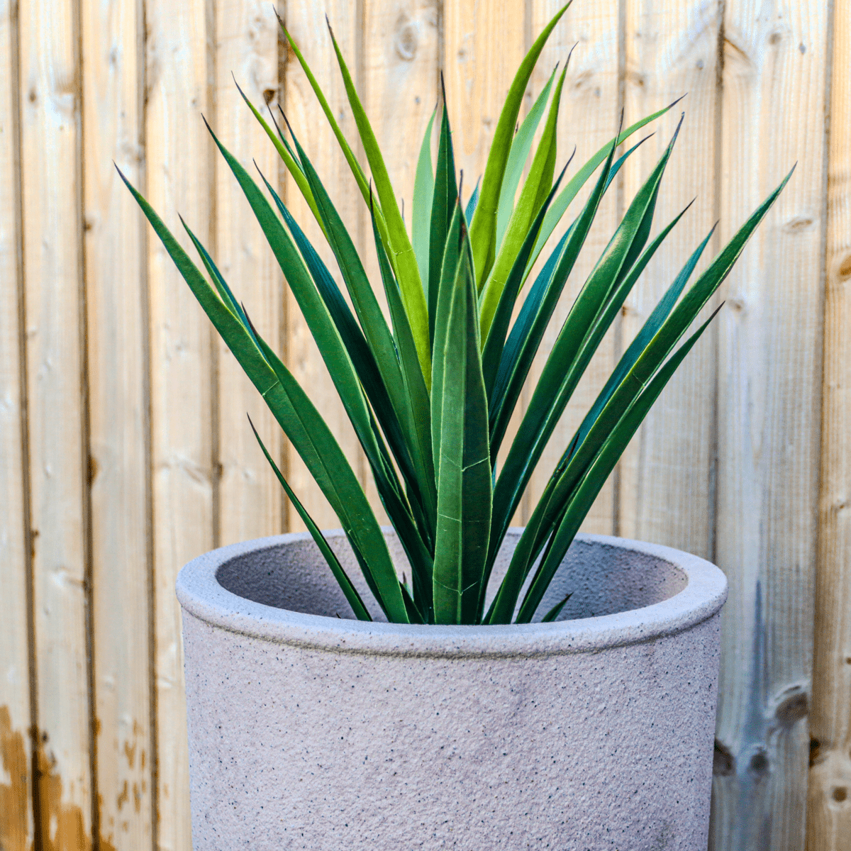 garden planter